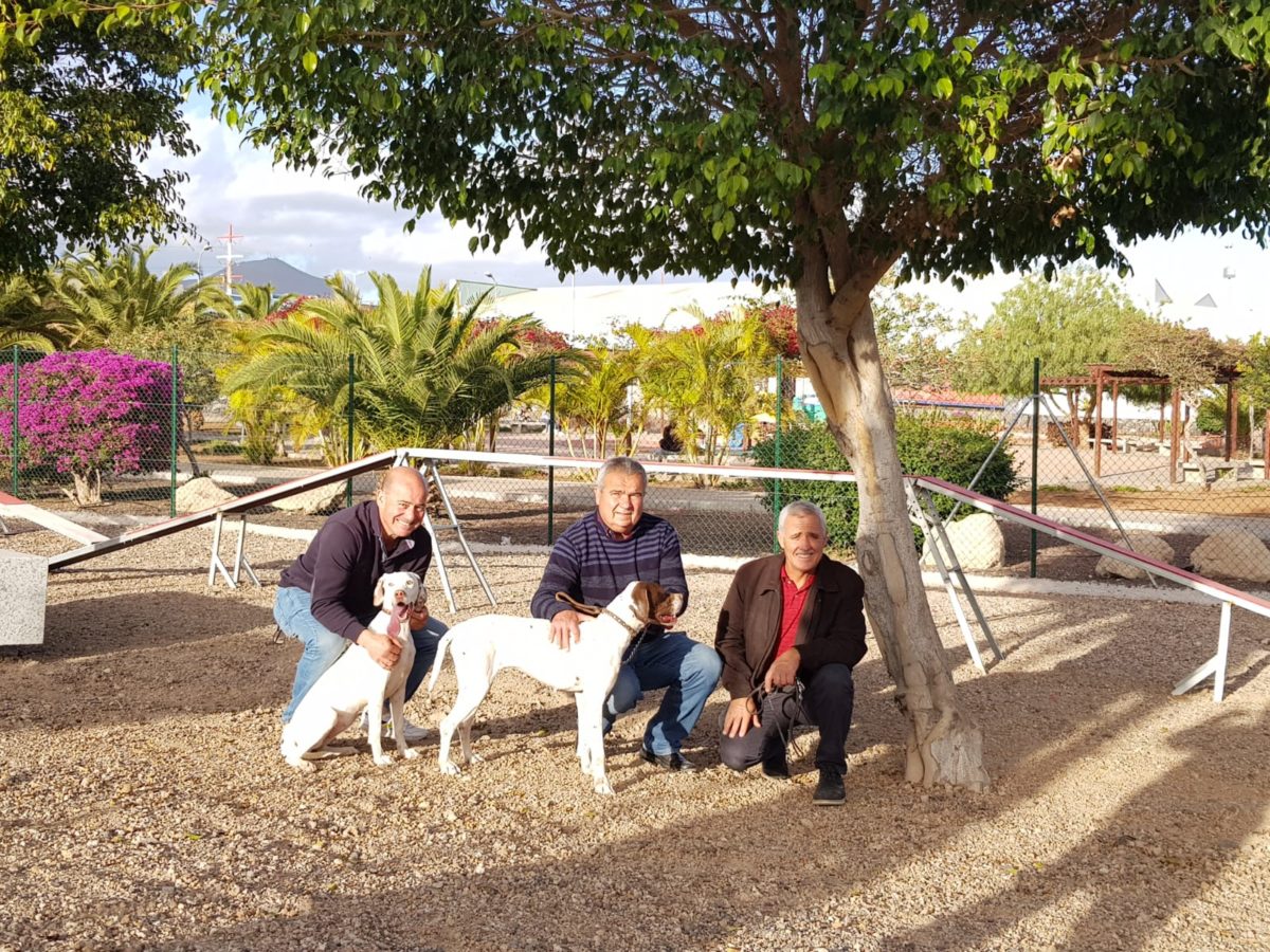 San Miguel de Abona ya cuenta con su tercer parque canino